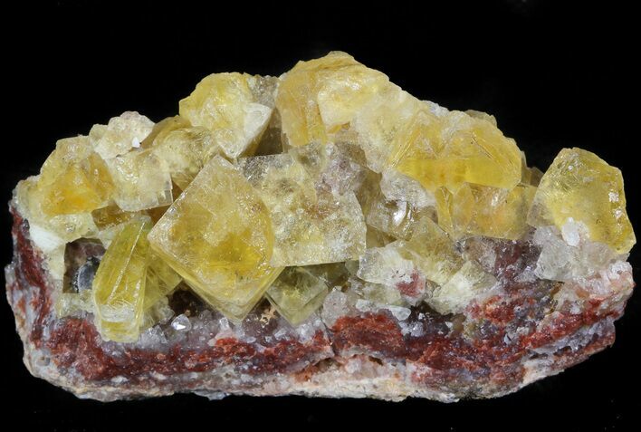 Lustrous, Yellow Cubic Fluorite Crystals - Morocco #44892